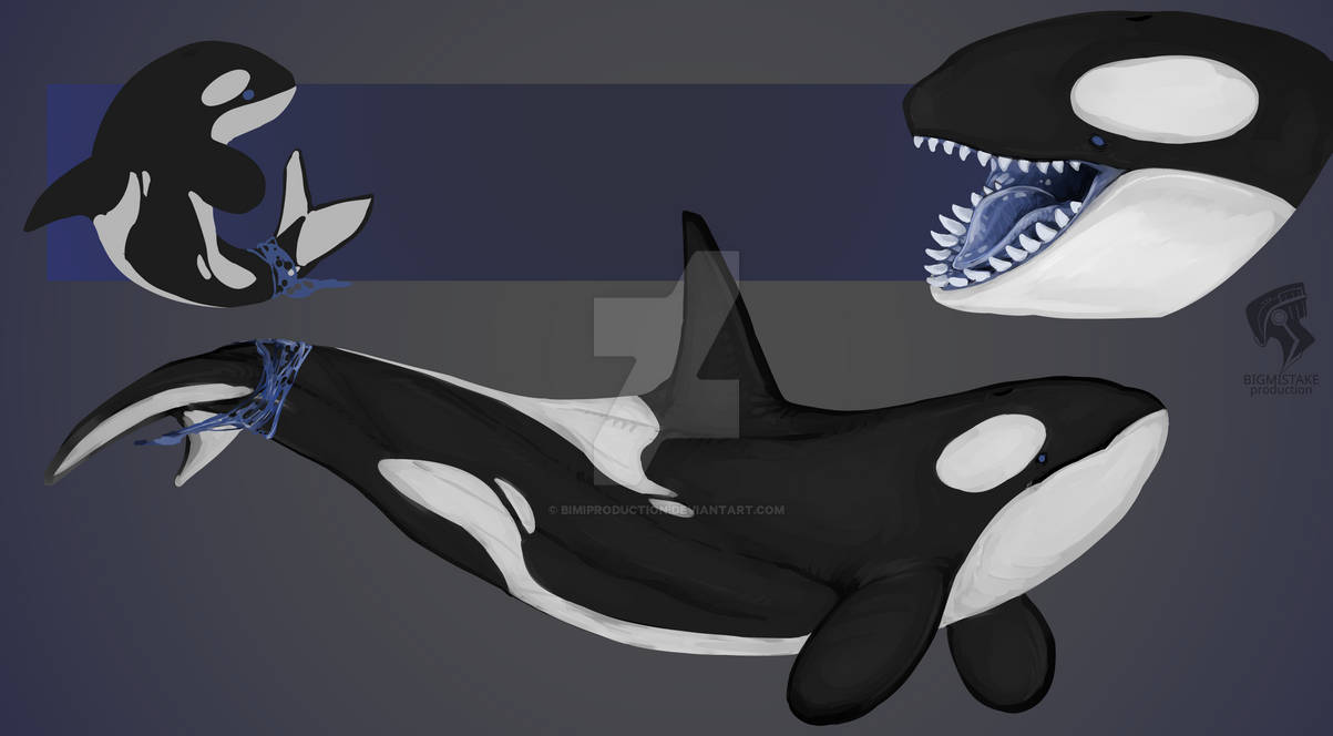 Orca ref commission by BimiProduction on DeviantArt