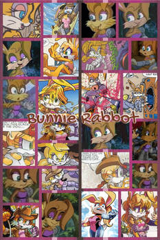 Bunnie Rabbot