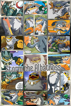 Storm the Albatross