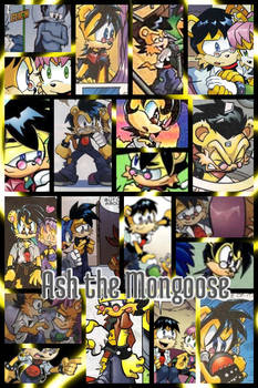 Ash the mongoose