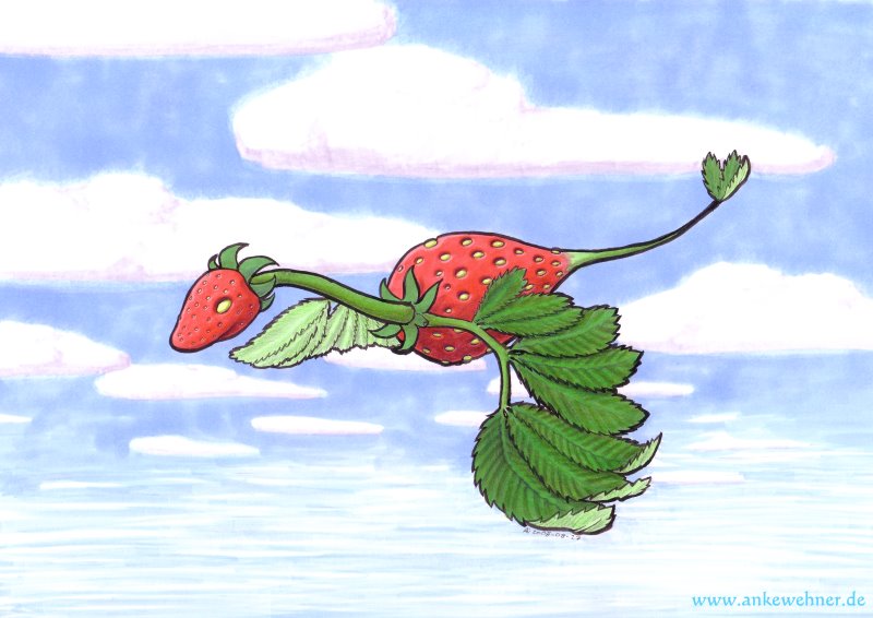 Strawberry Dragon