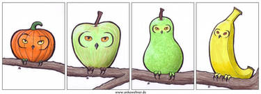 Fruity Owls