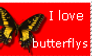 I love butterflys stamp