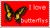 I love butterflys stamp