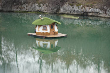 Mushroom house