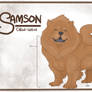 Samson's Reference Sheet