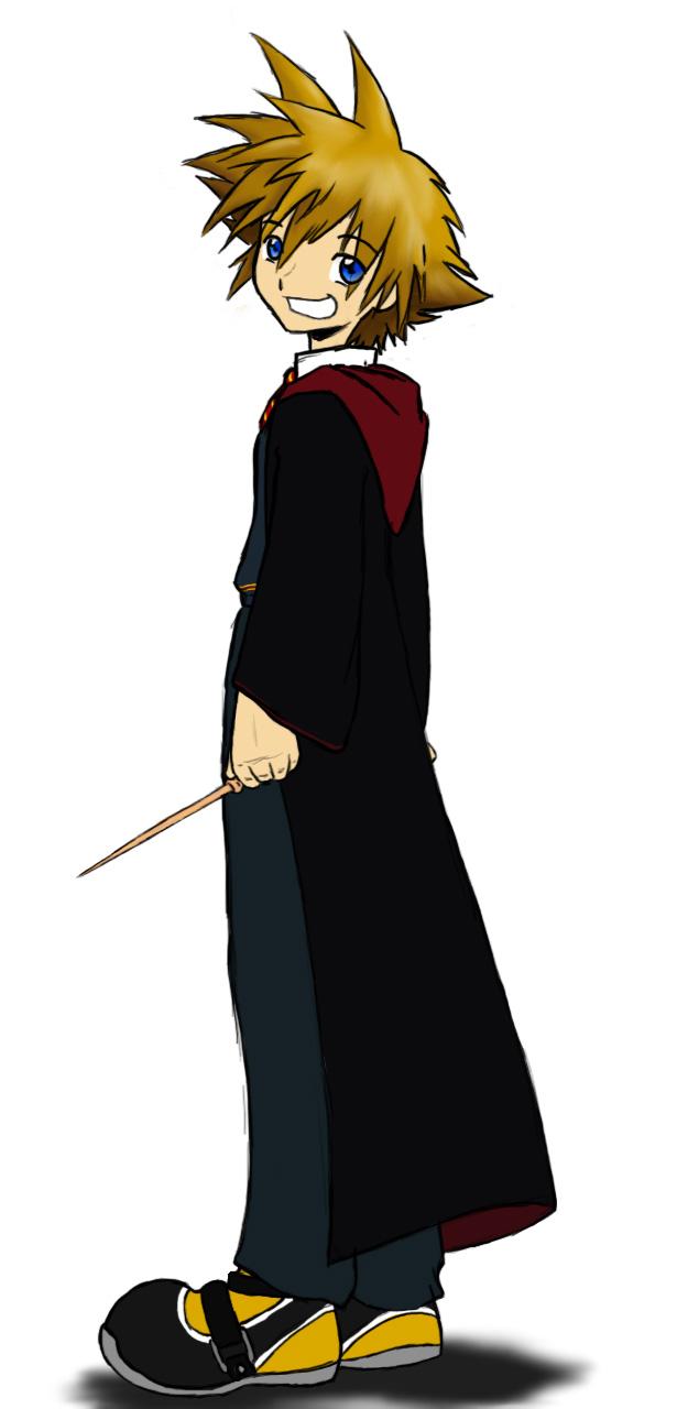 Gryffindor Sora