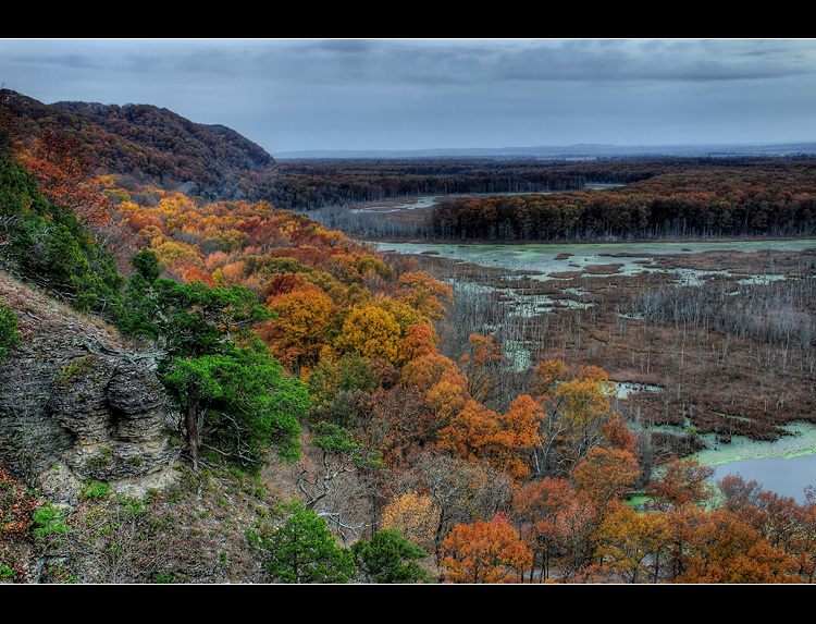 Between Green and Gray