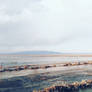 The Horizon
