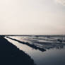 The Horizon