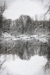 WINTER - Reflection