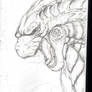 BearGoji-Godzilla 2014 sketch