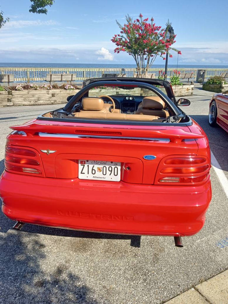 SVT Cobra rear end by budgik on DeviantArt