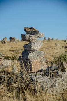 Equilibrium
