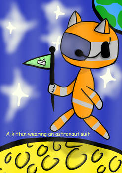 Cat in an astronout suit