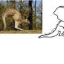 Stop using cats for references, use kangaroos