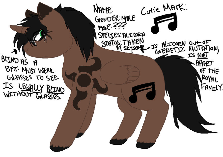 Pony With No Name Ref Sheet