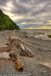 Parc du Bic