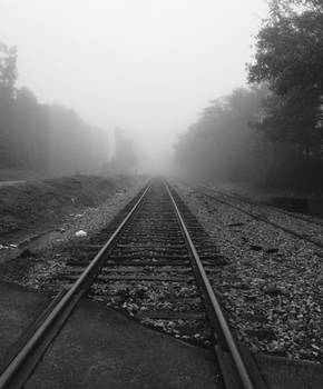 Foggy Tracks