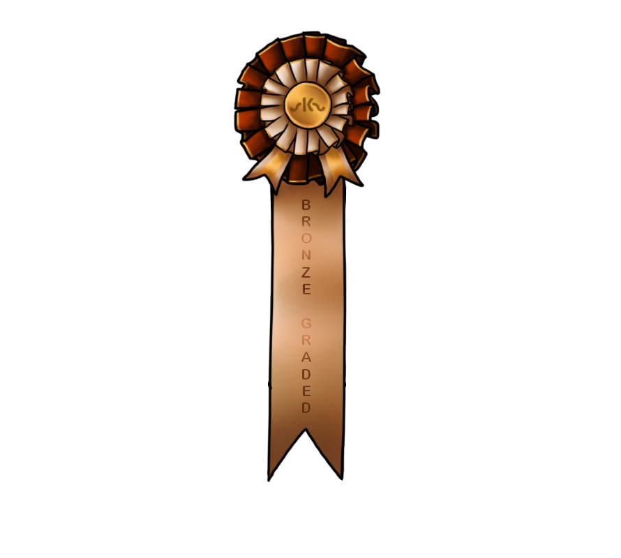 Bronze Grading Ribbon by KelownaAdmin on DeviantArt