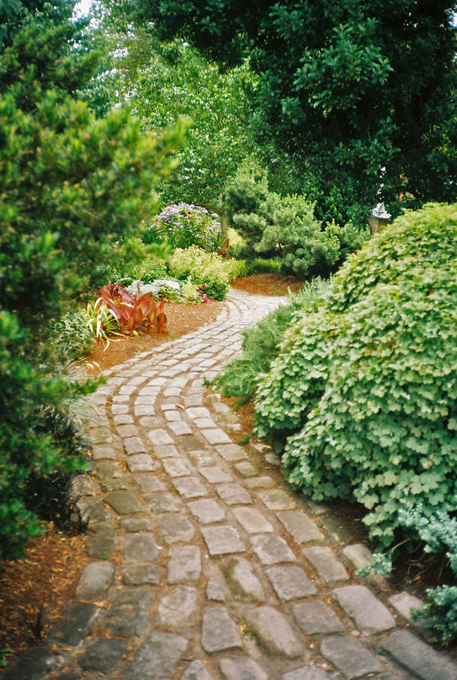 Pathway 4