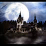 Moonlight Castle