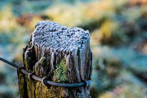 Frost-covered fence post