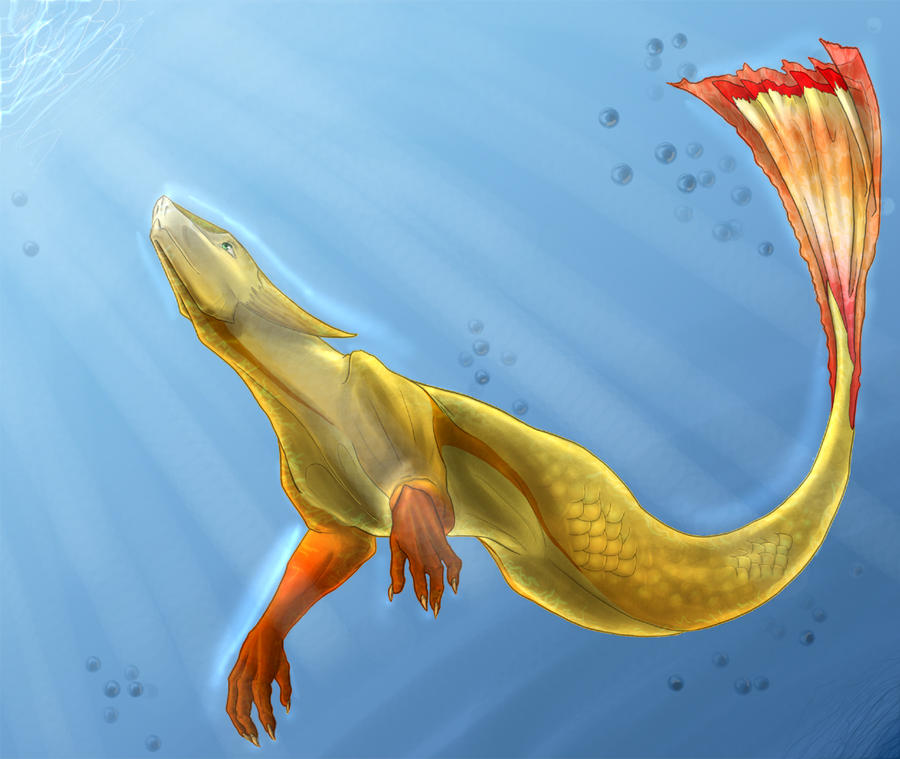 Merdragon by KaidaT on DeviantArt