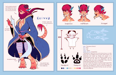 Keivva Ref Sheet - Rogue Form