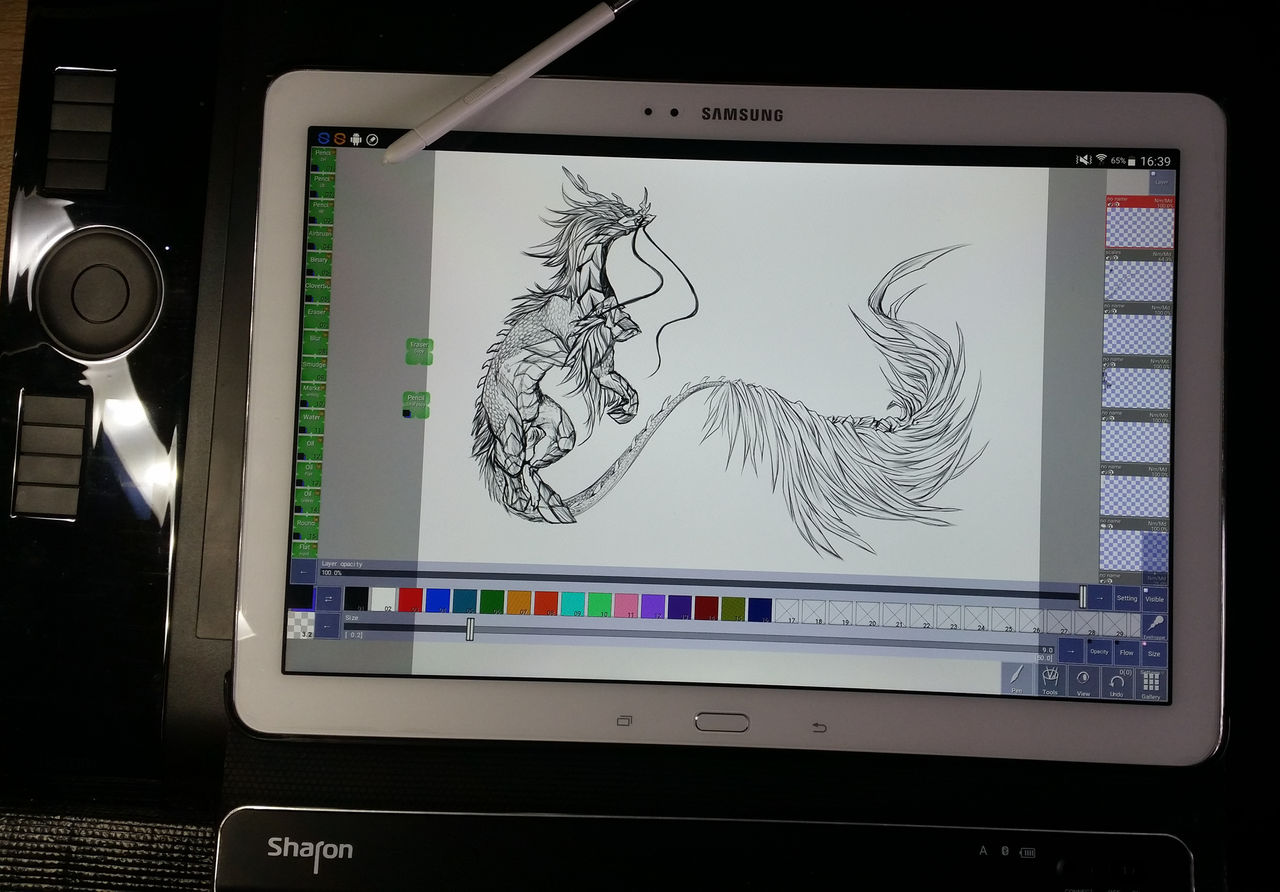 Note Pro 12.2 Sketch - Kirin