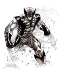 Wolverine III