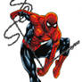 Spiderman commition colors