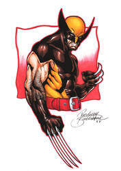 Classical Wolverine