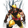 Wolvie Final low