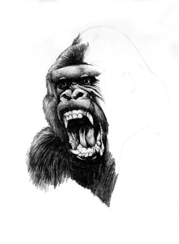 Desenhos de King Kong - Como desenhar King Kong passo a passo