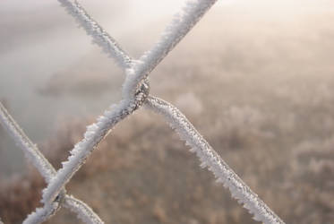 icy border..