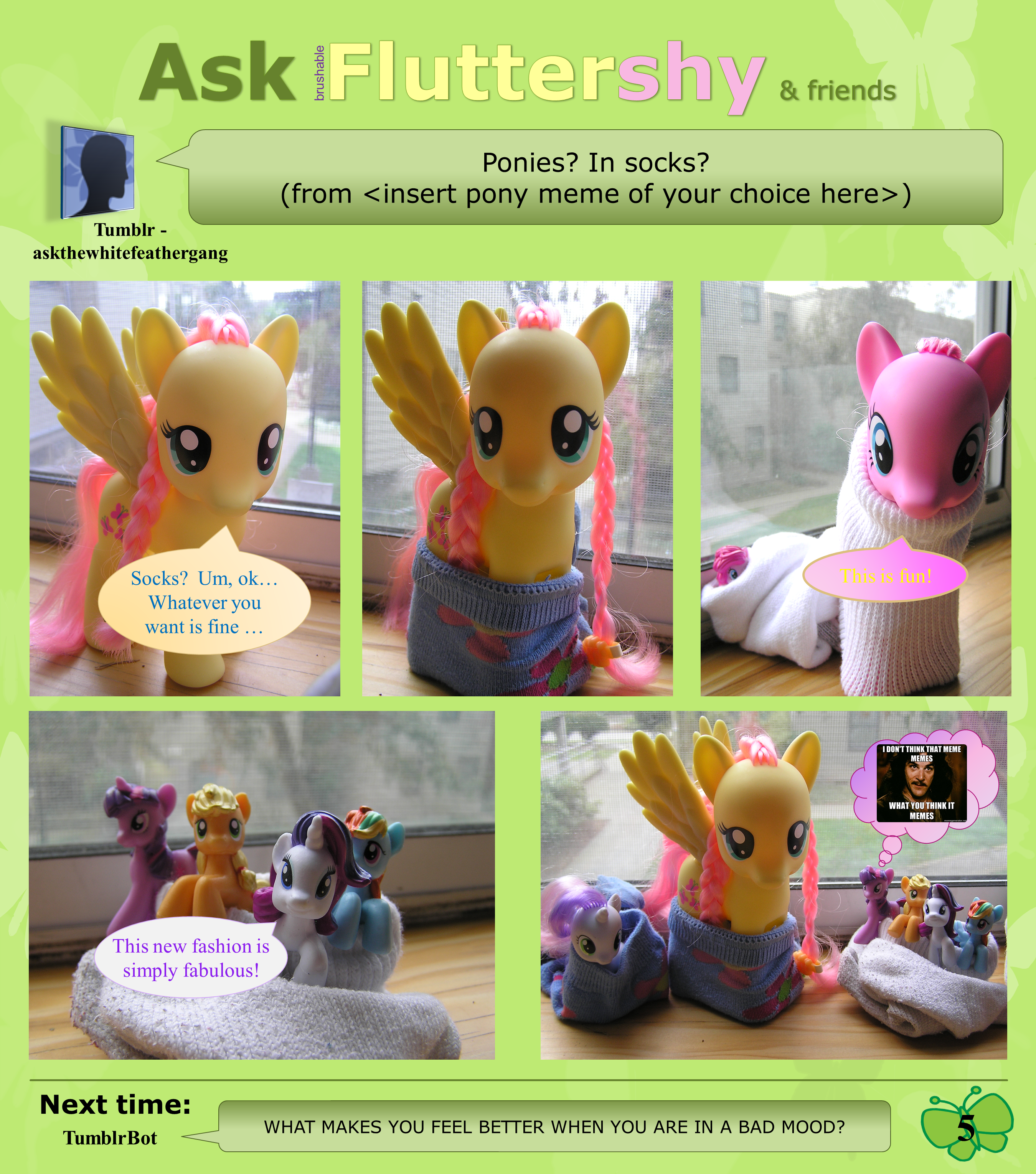 Ask Brushable Fluttershy - Q5 - Pony Meme