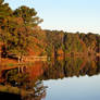 fall view by M Scully photography