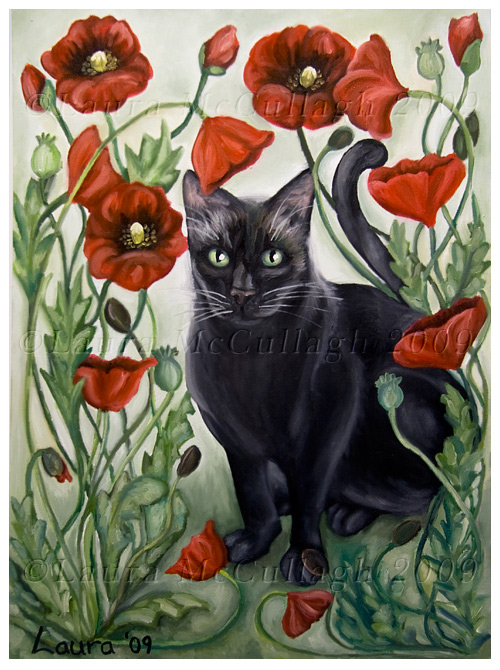 Cat in a poppy field