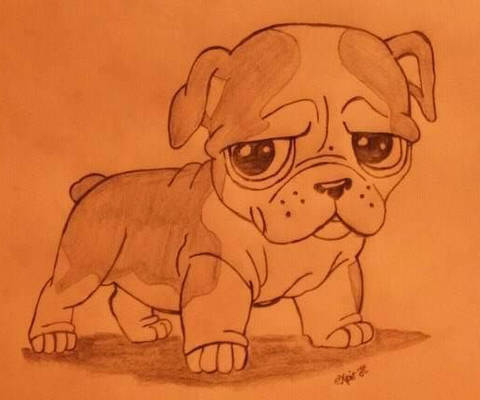 My Dog Drawing