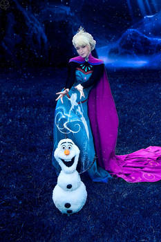 Queen Elsa 13