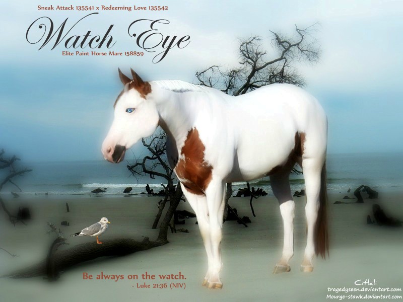 Watch Eye