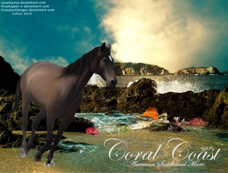 Coral Coast