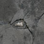 concrete crack
