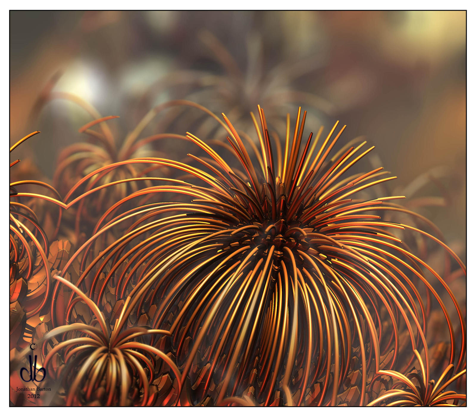 Bronze Anemones