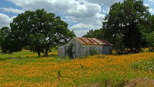 Texas Hill Country 3