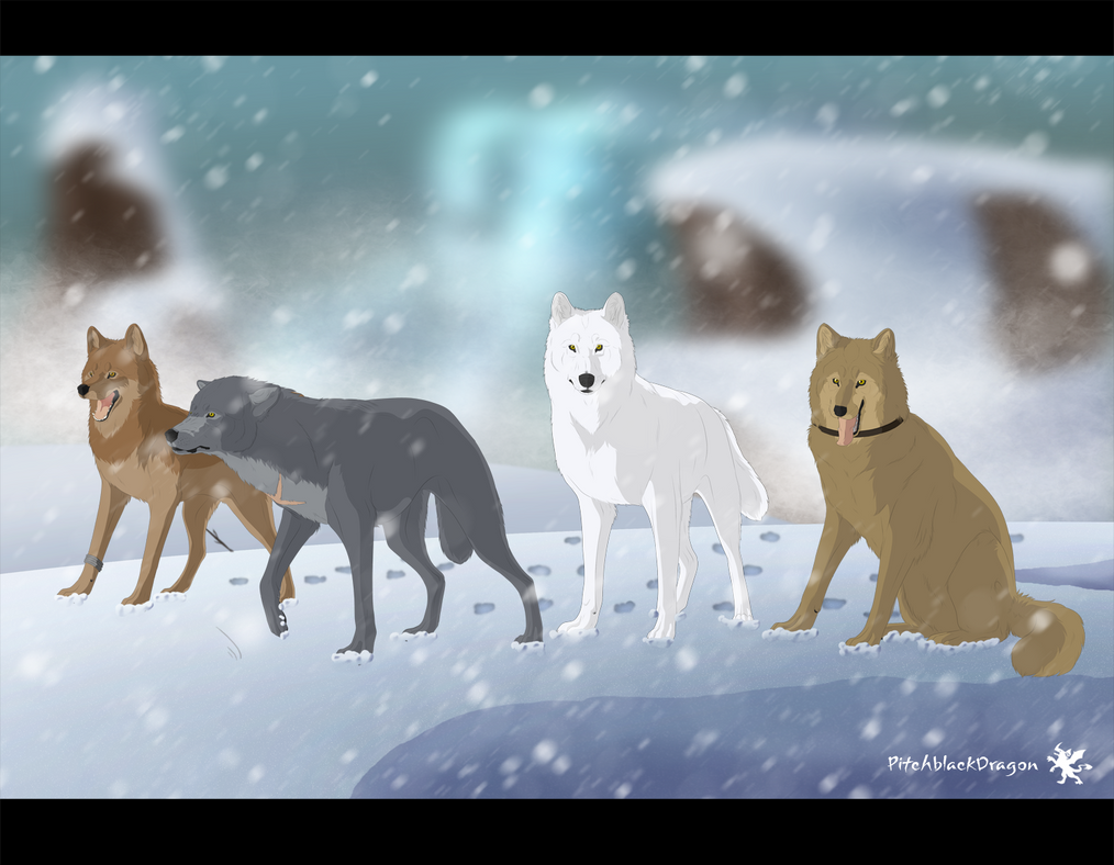 Wolf's Rain by PitchblackDragon on DeviantArt