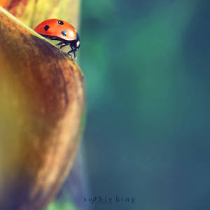 .: J o u r n e y :. by Nariscuss .: J o u r n e y :. by Nariscuss