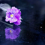 .: S p a c e :. by Nariscuss