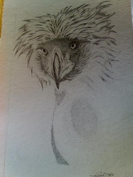 Pointillism Philippine Eagle